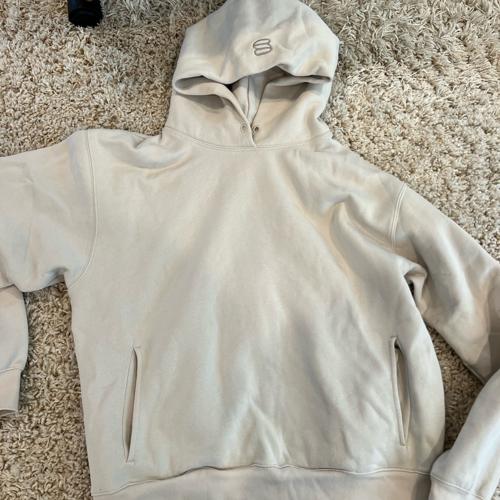 Aritzia superworld hoodie